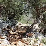 Issicoro Bed & Breakfast Baunei