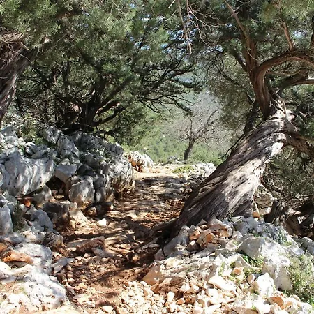 Issicoro Oda ve Kahvaltı Baunei