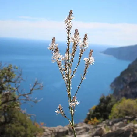 Issicoro Oda ve Kahvaltı 3*