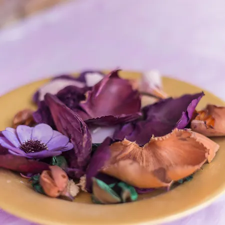 Oda ve Kahvaltı Issicoro Baunei