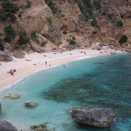 Oda ve Kahvaltı Issicoro