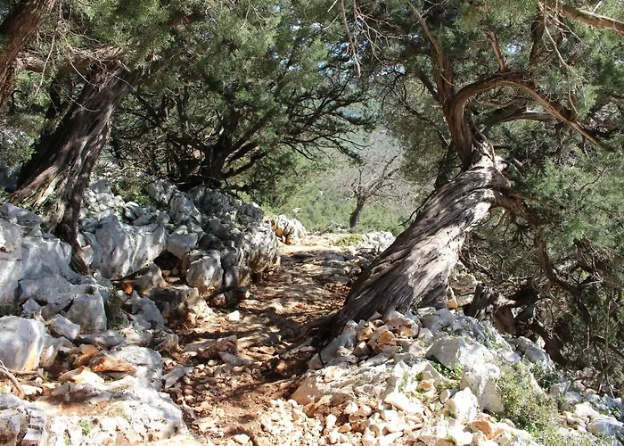 Issicoro Bed and breakfast Baunei