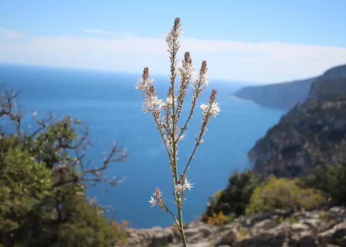 Issicoro Bed and breakfast 3*