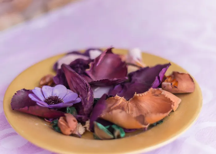 Bed and breakfast Issicoro Baunei