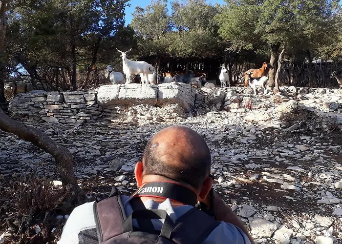 B&B Issicoro 3* Baunei